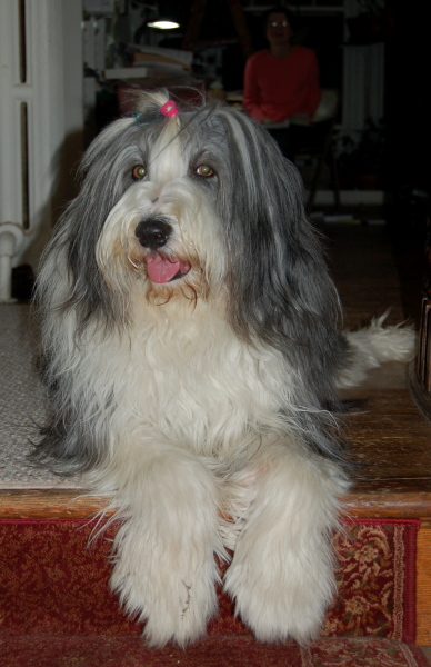 DSC_0161w.JPG