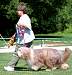 DSC_1019w.JPG