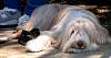 DSC_1053w.JPG