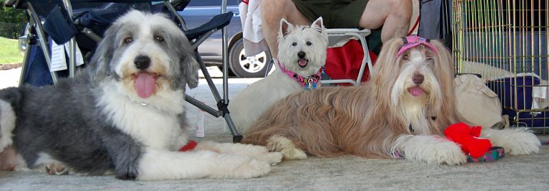 DSC_1129w.JPG