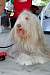 DSC_1149w.JPG
