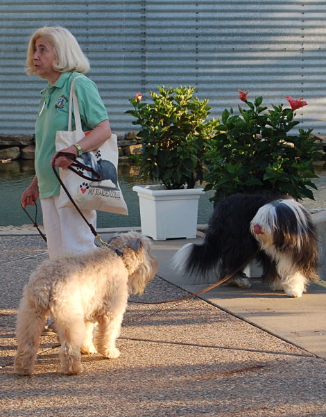 DSC_1173w.JPG