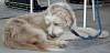 DSC_1154w.JPG