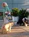 DSC_1173w.JPG