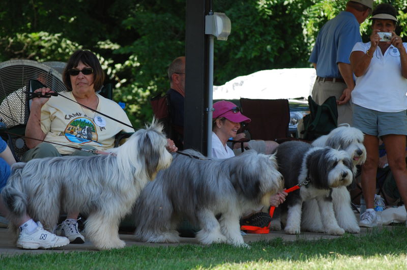 DSC_0372w.JPG