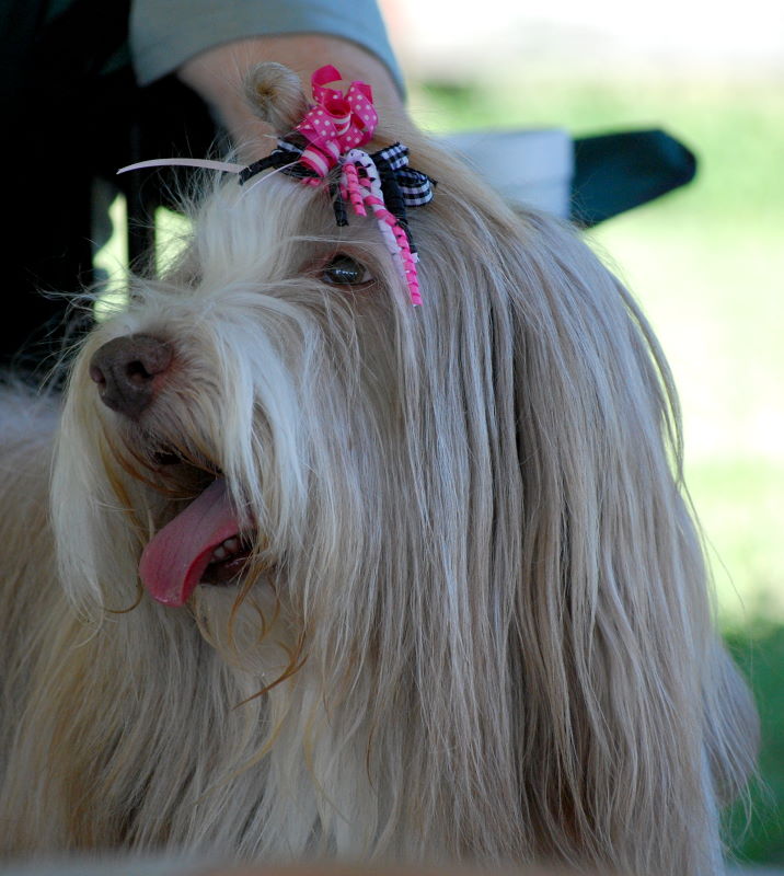 DSC_0395w.JPG