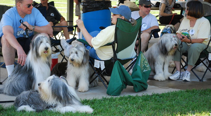 DSC_0397w.JPG