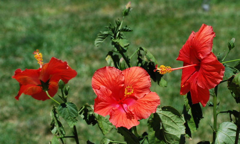 DSC_0426w.JPG