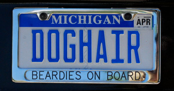 DSC_0508w.JPG