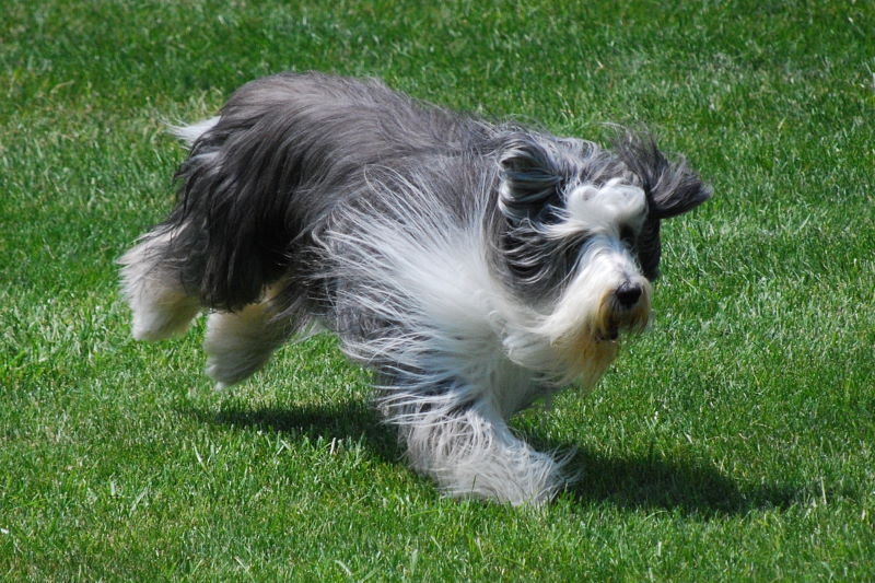 DSC_0563w.JPG