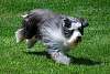 DSC_0563w.JPG