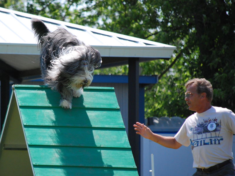 DSC_0616w.JPG