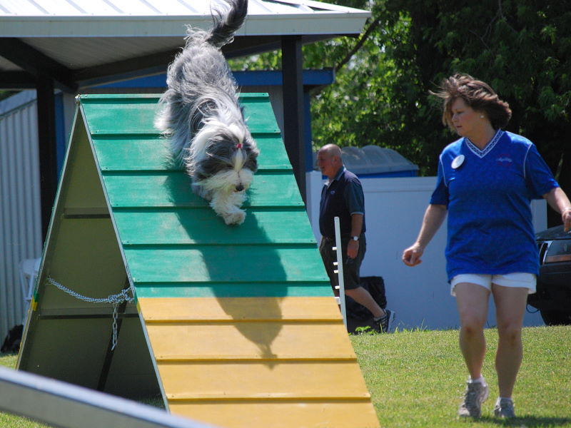 DSC_0620w.JPG