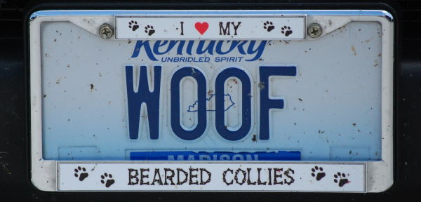 DSC_0642w.JPG
