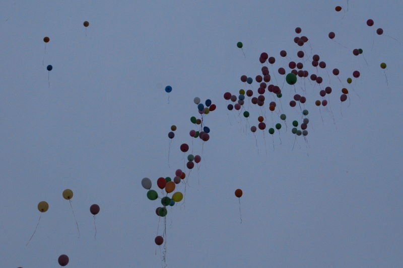 DSC_0690w.JPG