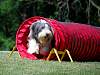 DSC_0576w.JPG