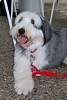 DSC_0648w.JPG
