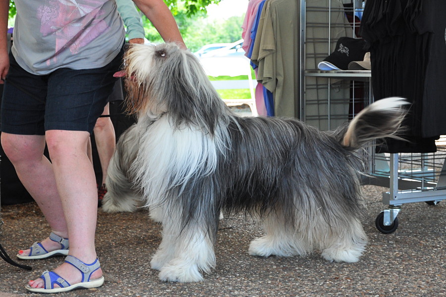 DSC_0027a.JPG