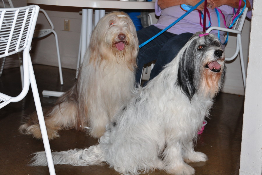 DSC_0038a.JPG