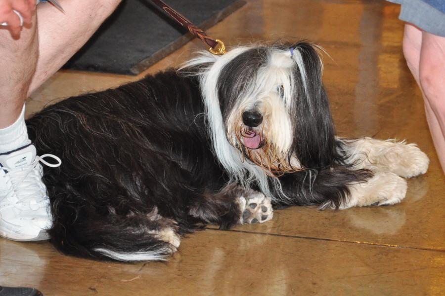 DSC_0052a.JPG
