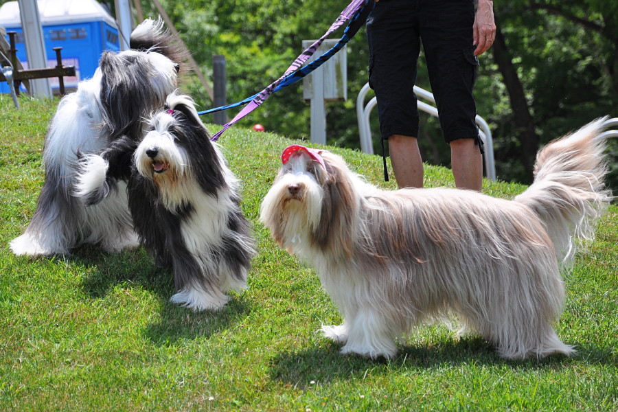 DSC_0062a.JPG