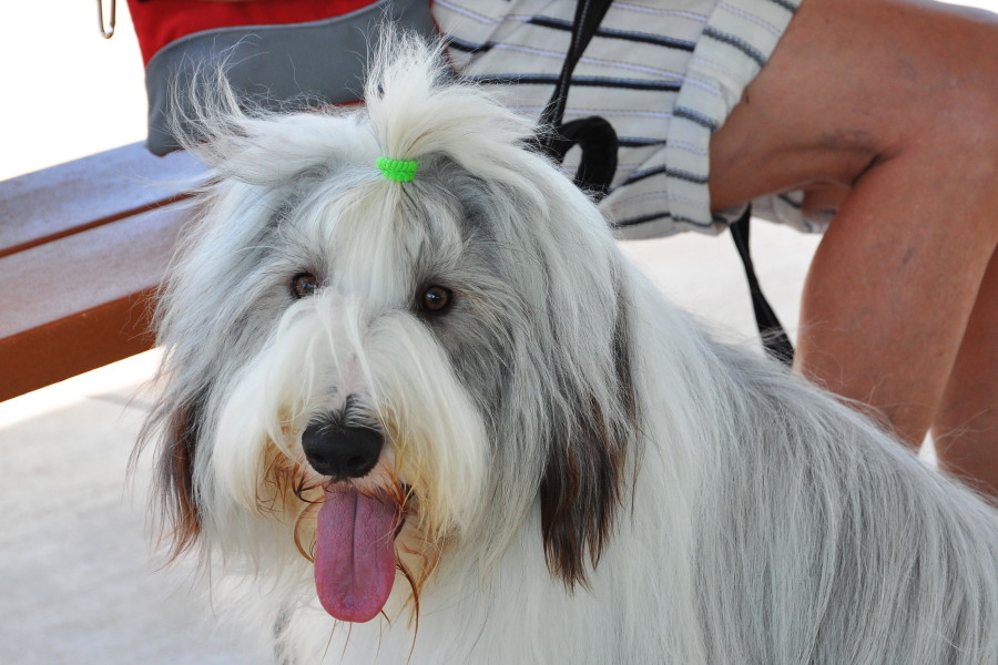 DSC_0068a.JPG