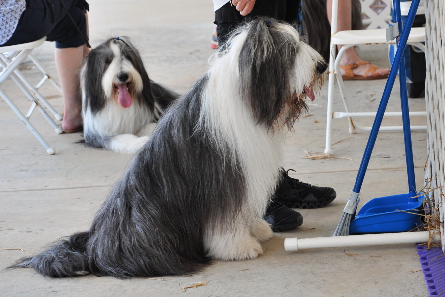 DSC_0072a.JPG