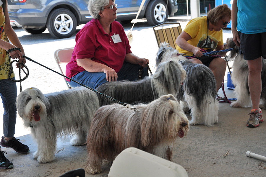 DSC_0083a.JPG