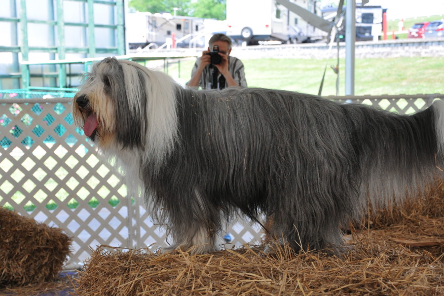 DSC_0088a.JPG