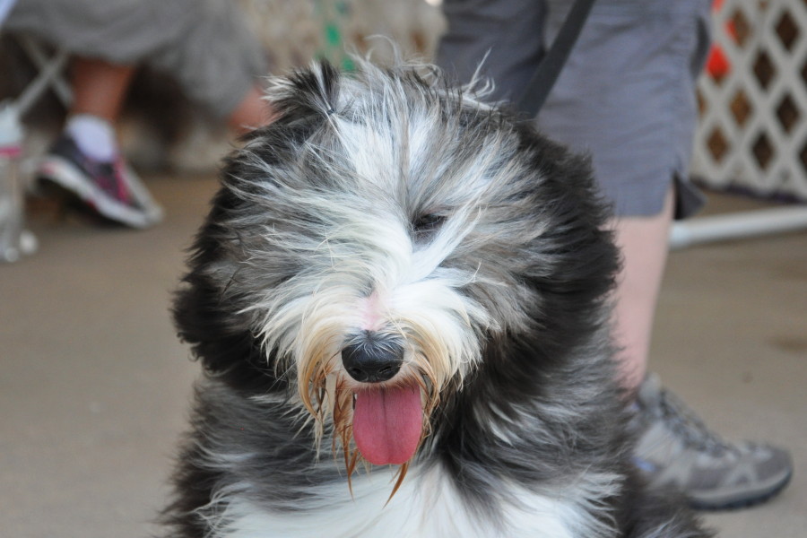 DSC_0108a.JPG
