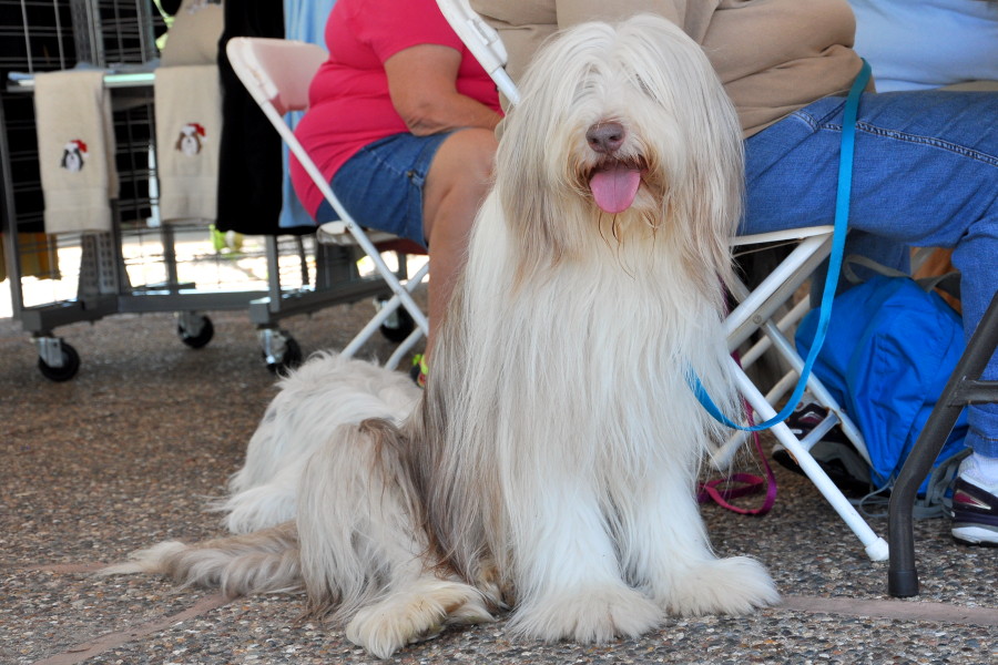 DSC_0137a.JPG