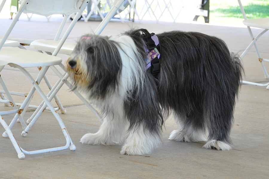 DSC_0156a.JPG