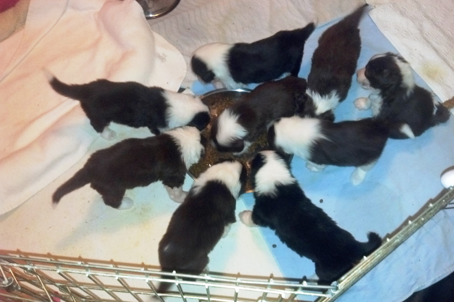 03_4weeks.jpg