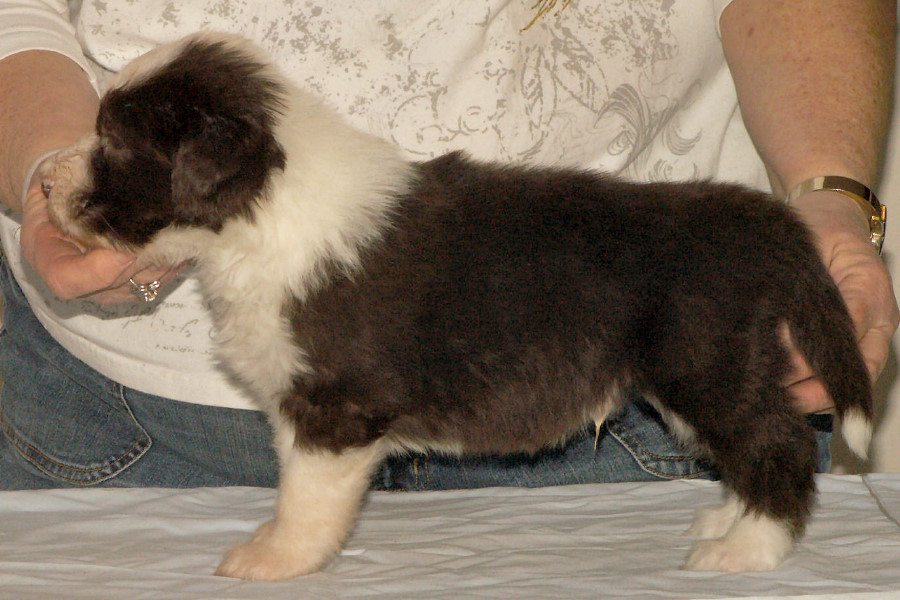 04_5weeks.jpg