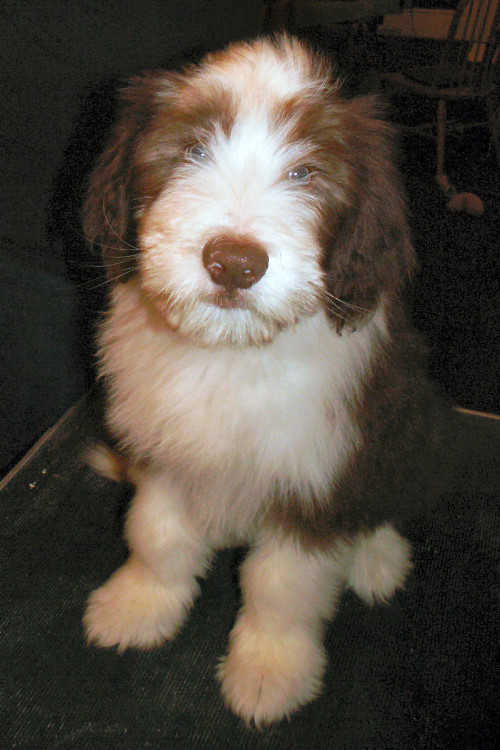 05_13weeks.jpg