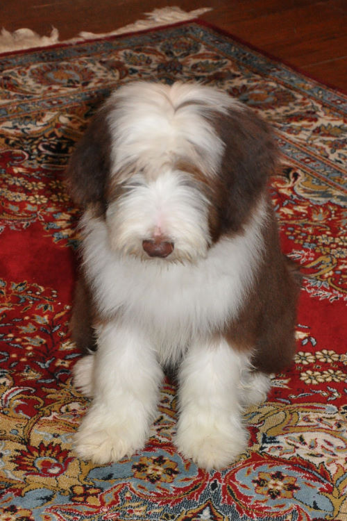 06_20wks_6916.JPG