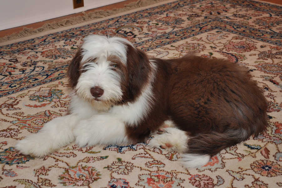 08_20wks_6930.JPG