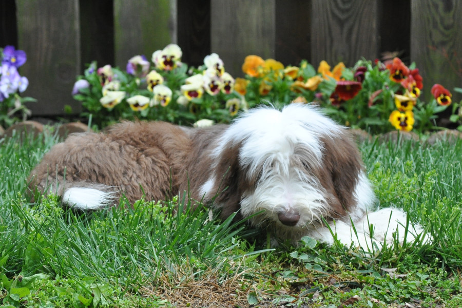 09_20wks_6982.JPG