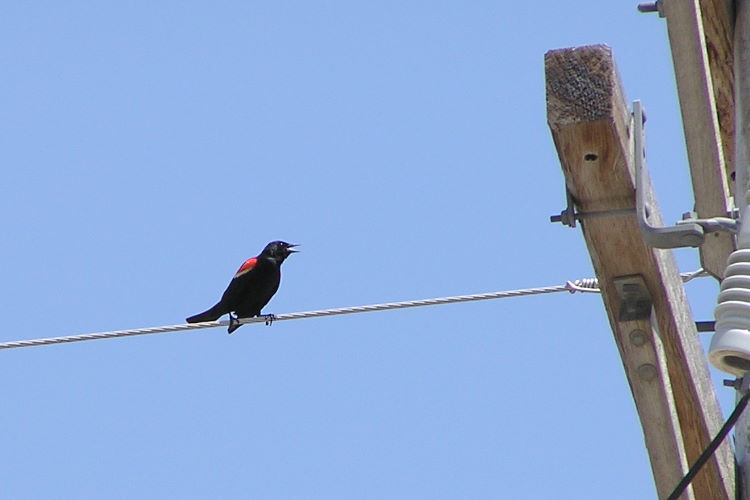omP5060597w.JPG