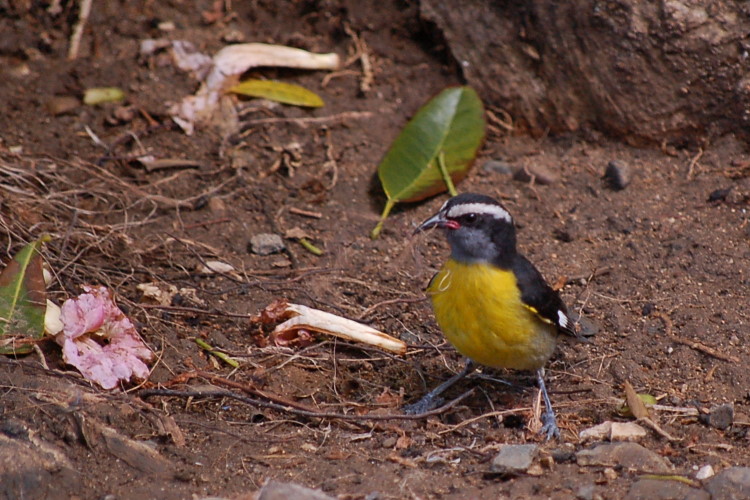prDSC_3778w.JPG