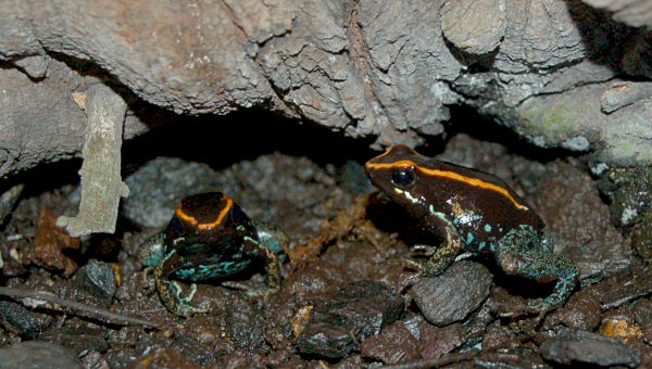 DSC_1348w.JPG