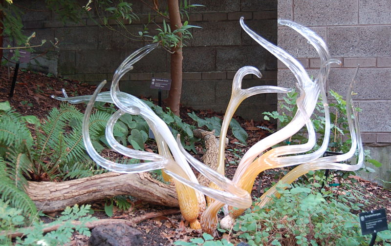 DSC_1358w.JPG