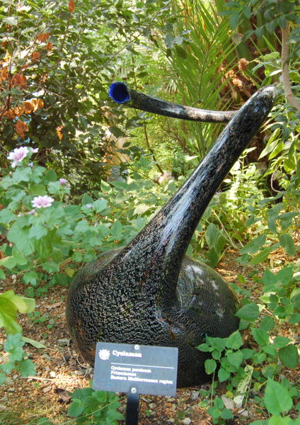 DSC_1364w.JPG