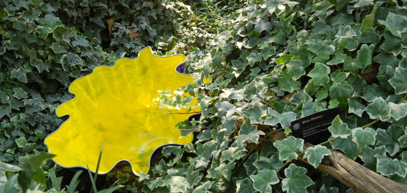 DSC_1366w.JPG