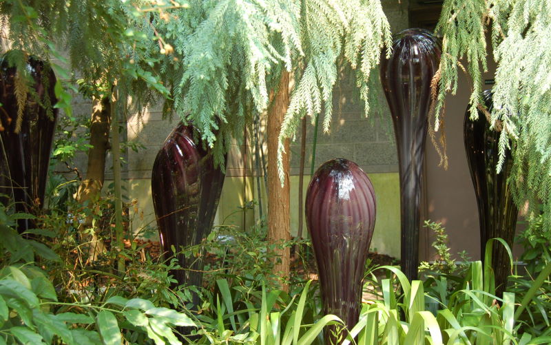 DSC_1374w.JPG