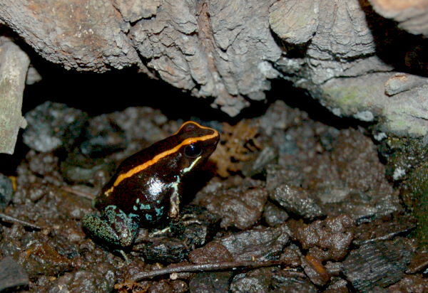 DSC_1379w.JPG