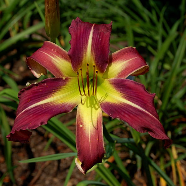 DSC_1396w.JPG