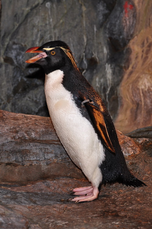 DSC_1217w.JPG