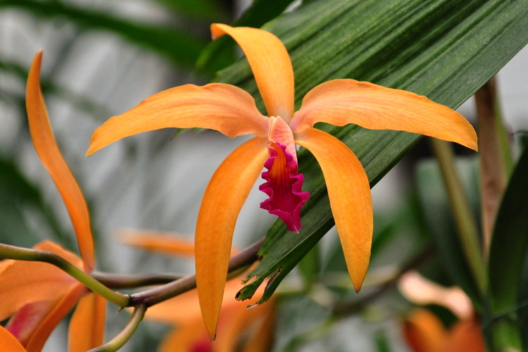 DSC_3377a.JPG