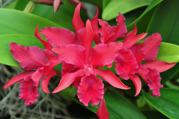 DSC_3386a.JPG